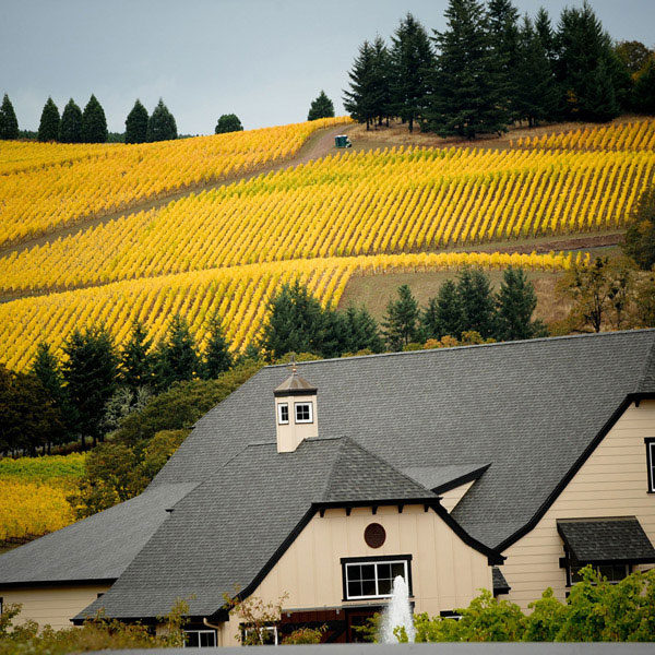 CDR_Projects_FW-Retail_ZenithVineyardsStInnocentWinery9