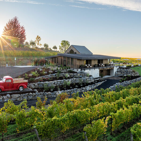 cdr-projects-anacreon-tasting-house-01