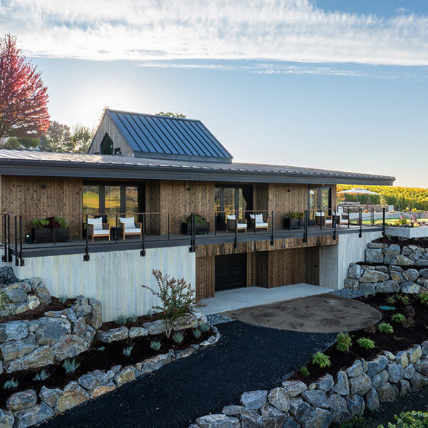 cdr-projects-anacreon-tasting-house-04