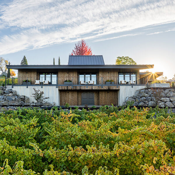 cdr-projects-anacreon-tasting-house-05