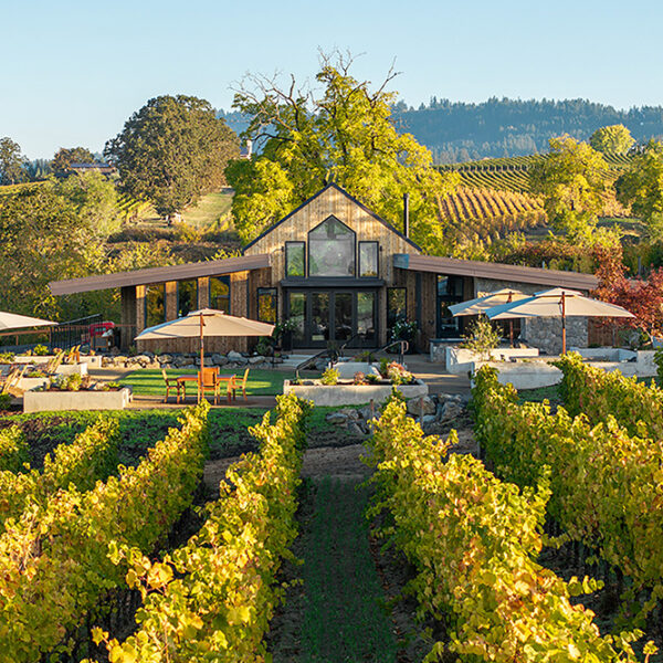 cdr-projects-anacreon-tasting-house-06