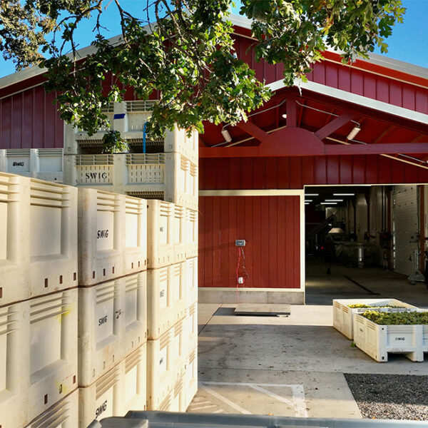 cdr-projects-anacreon-winery-02