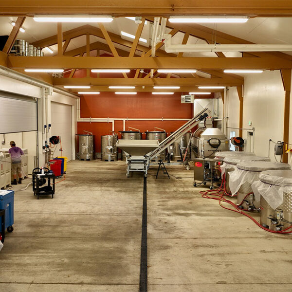 cdr-projects-anacreon-winery-03