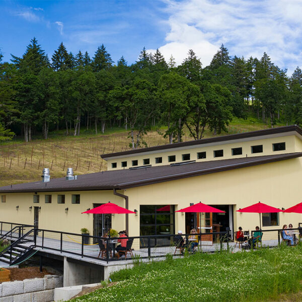 cdr-projects-st-innocent-winery-01