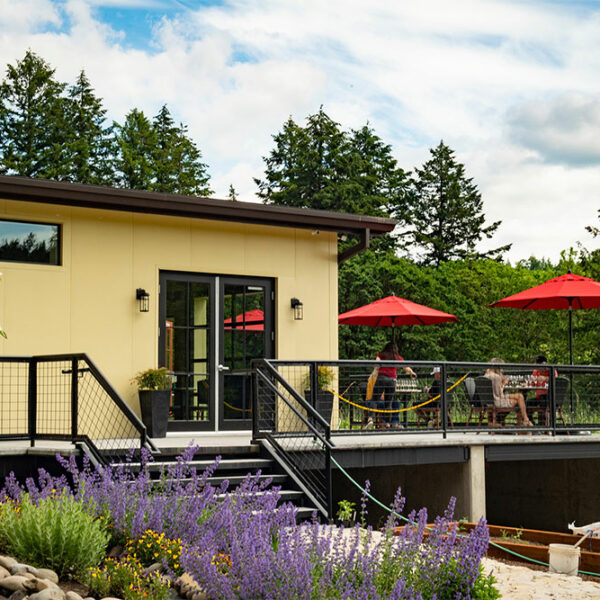 cdr-projects-st-innocent-winery-02
