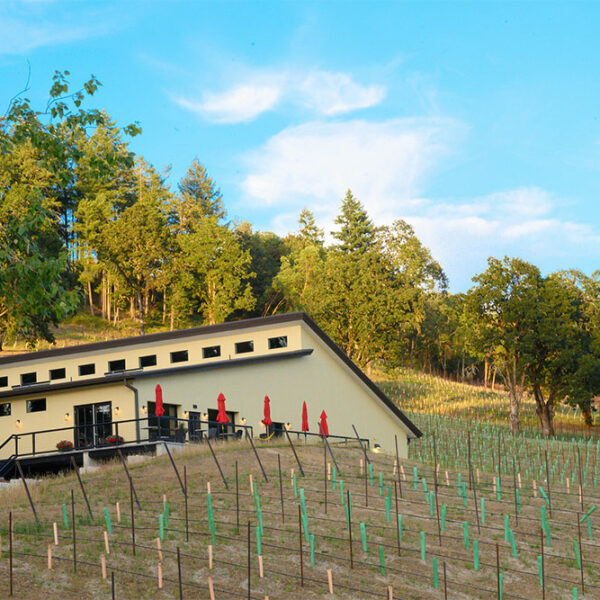 cdr-projects-st-innocent-winery-05