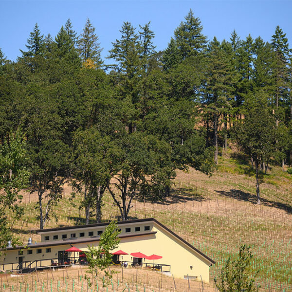 cdr-projects-st-innocent-winery-06